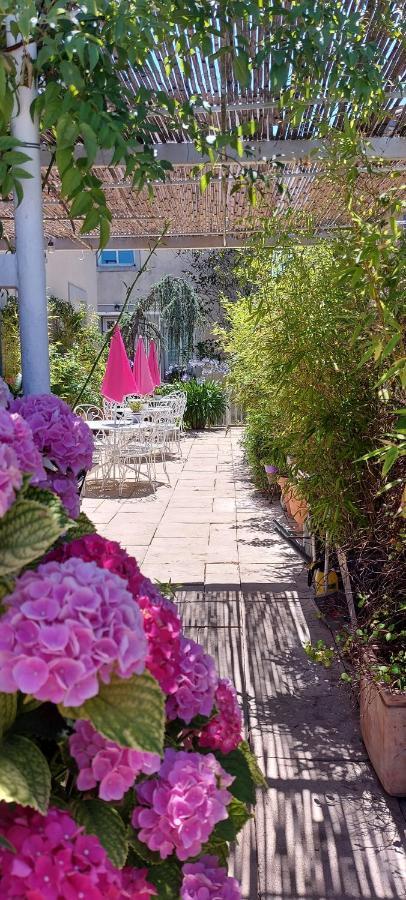 La Belle Vie B&B Montreal  Bagian luar foto